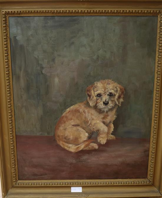 English School, c.1900, oil on canvas of a terrier, unsigned, 75 x 62cm